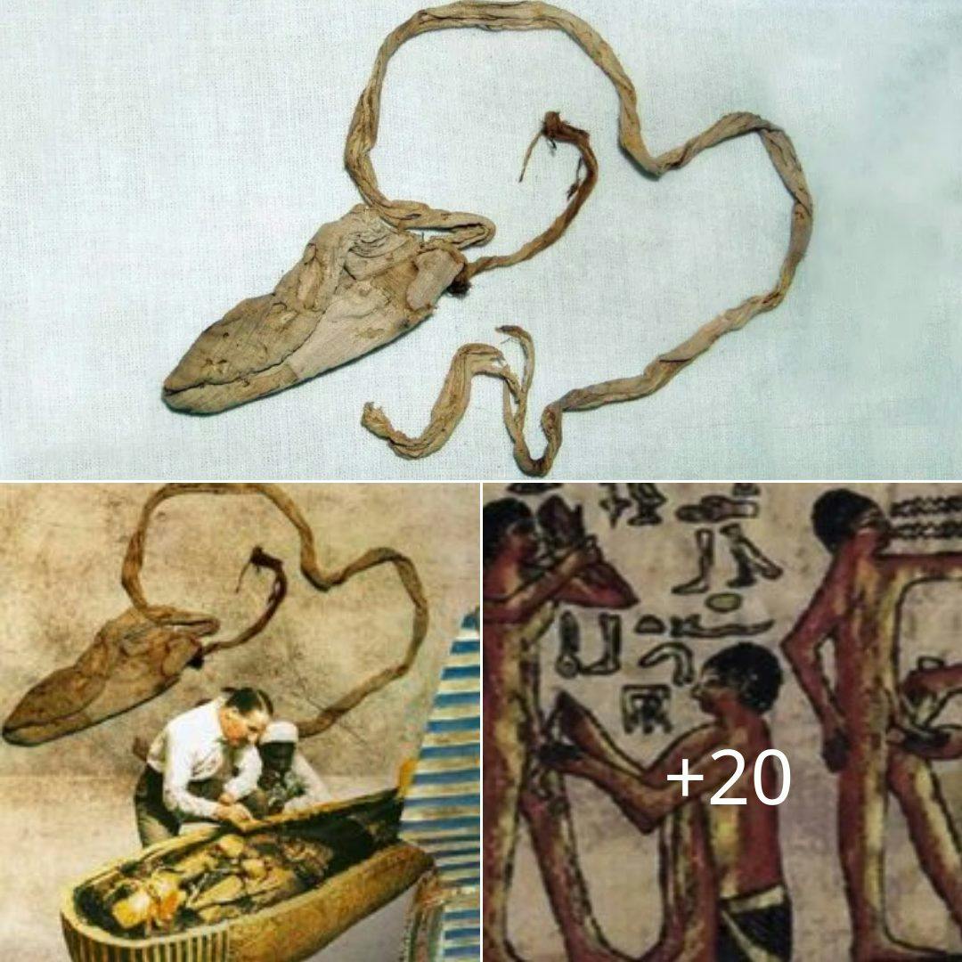 Cover Image for Los arqueólogos están asombrados al admirar el condón de 3.000 años de antigüedad del faraón egipcio Tutankamón.