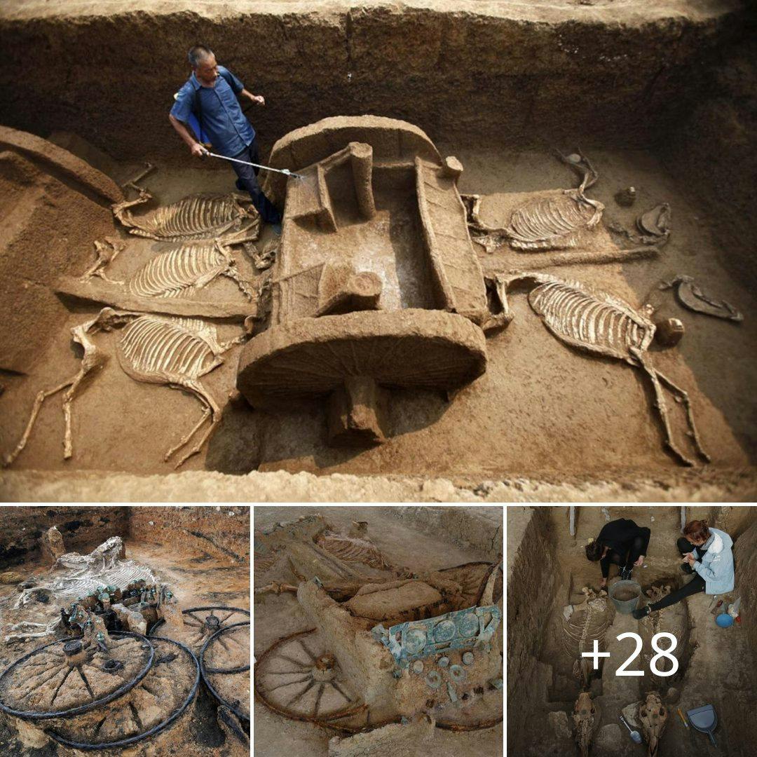 Cover Image for Los arqueólogos encontraron un carro de 2.500 años de antigüedad, completo con un jinete y caballos.